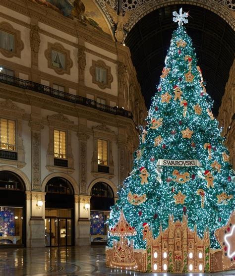 costo albero gucci|Gucci, oltre 1 milione di euro per il Natale a Milano.